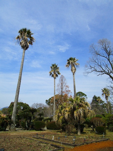 c0327752_10581600.jpg