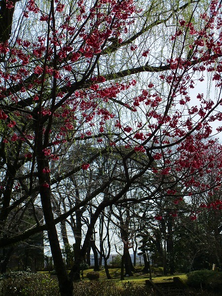 c0327752_11052264.jpg