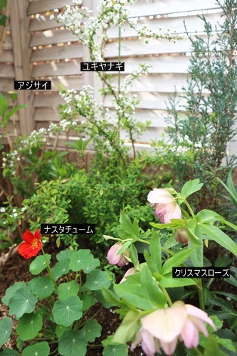 c0178453_18220646.jpg