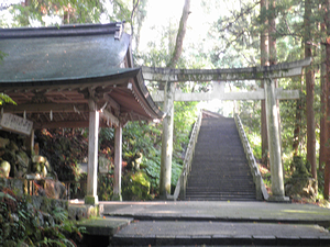 a0057057_2133259.png