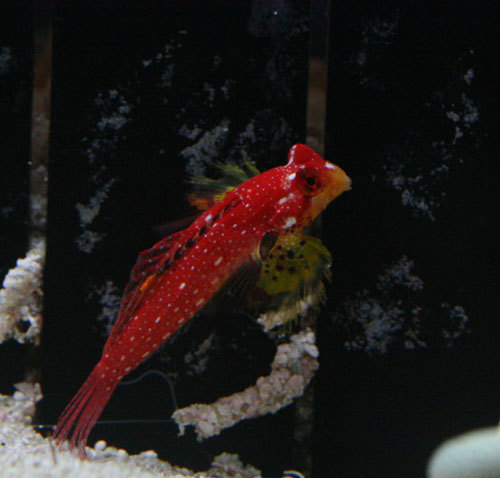 c0165758_22022515.jpg