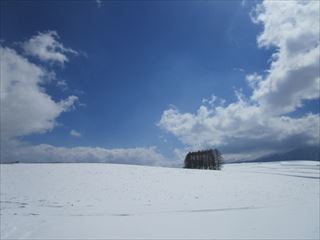 d0045362_10421713.jpg