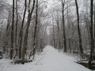 d0045362_21203217.jpg