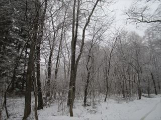 d0045362_21212291.jpg