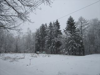 d0045362_21222780.jpg
