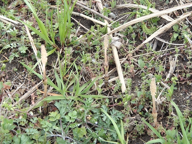 b0044663_13235056.jpg