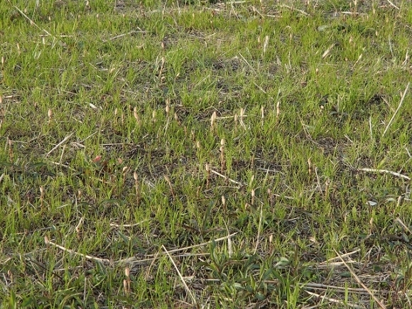 b0044663_13245117.jpg