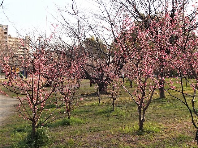 b0044663_13281061.jpg