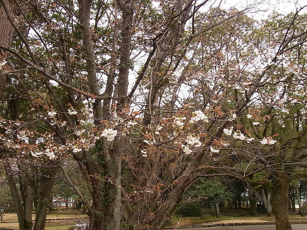 b0088173_19414887.jpg