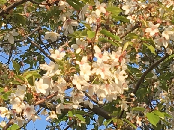 c0123890_20081035.jpg
