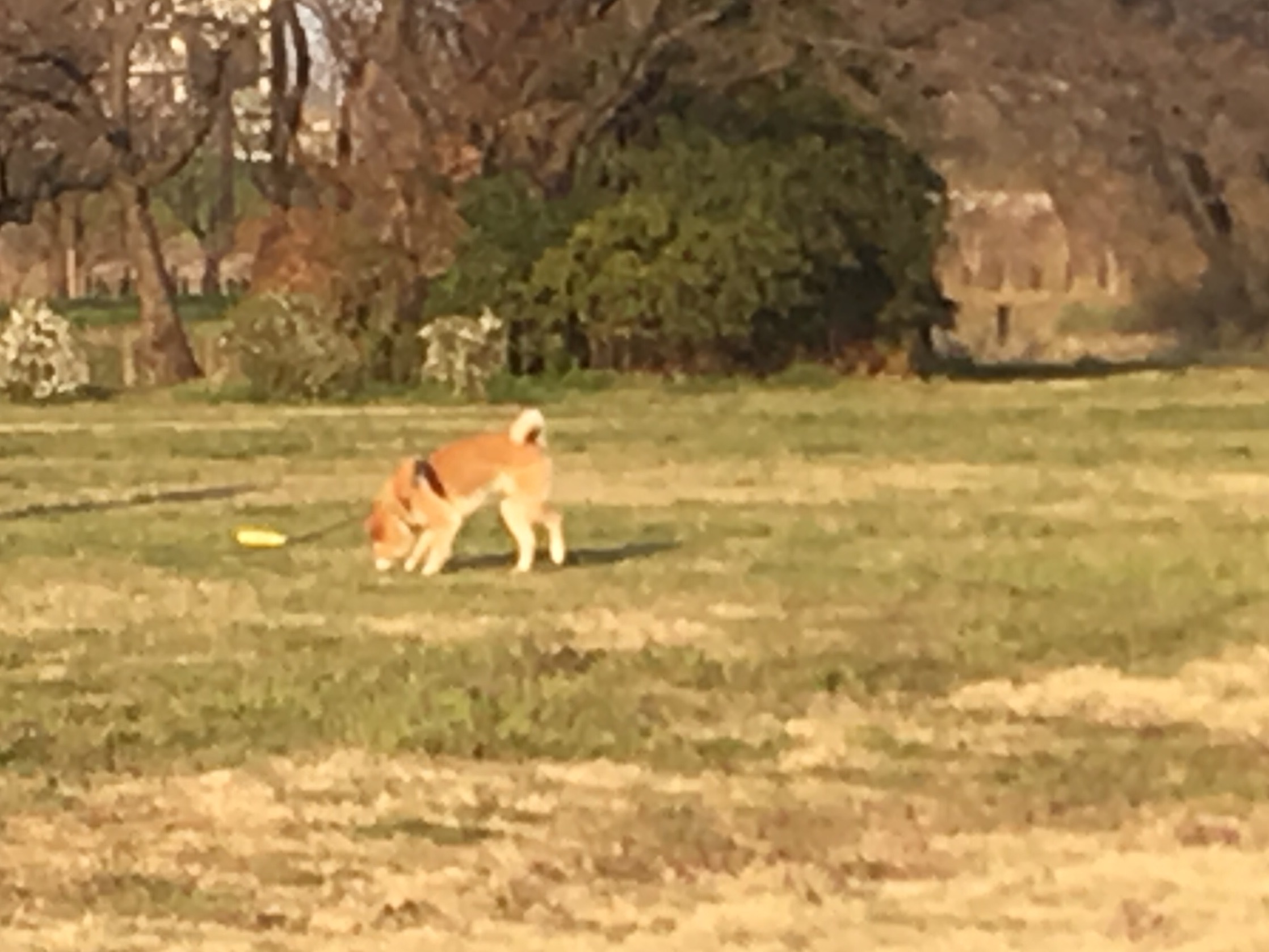 c0123890_20092363.jpg