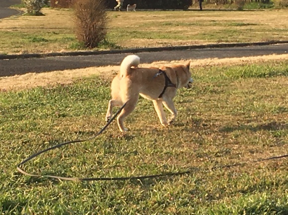 c0123890_20100584.jpg