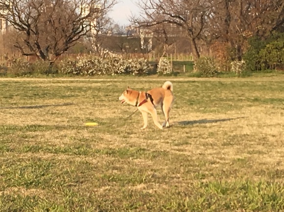c0123890_20102336.jpg