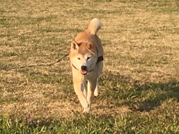 c0123890_20115895.jpg
