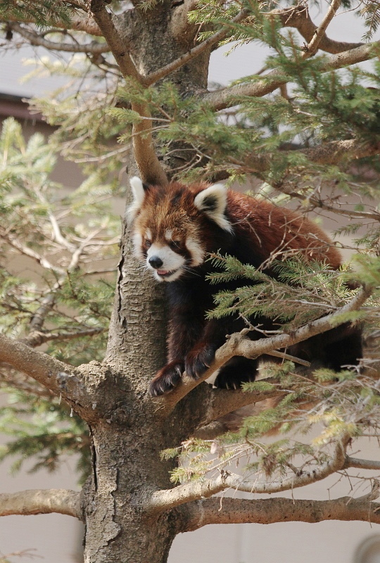 a0306502_21474209.jpg