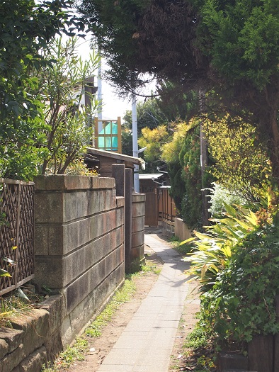 e0245404_2038851.jpg