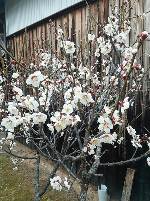 c0149408_23161627.jpg