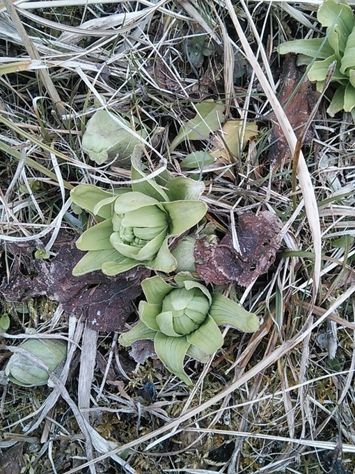c0149408_23182345.jpg