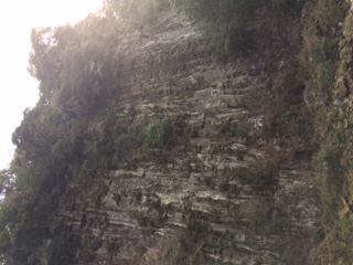 c0147709_2055629.jpg