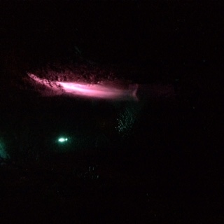 c0147709_205566.jpg