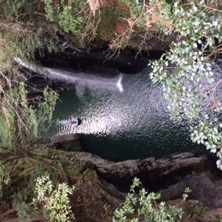c0147709_2055686.jpg
