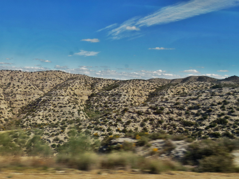 b0064411_06410513.jpg