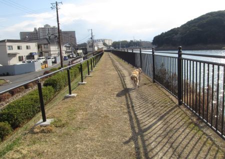 b0008217_22420358.jpg