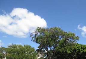 a0242019_5394465.jpg