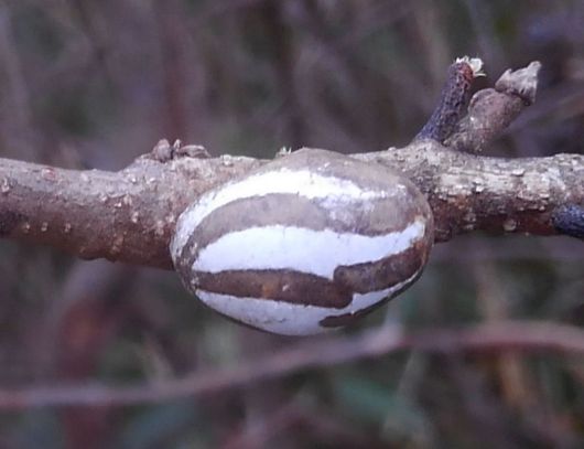 c0162128_20344184.jpg