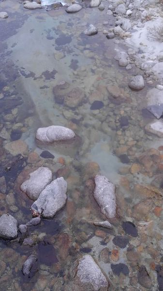 c0162128_7585580.jpg