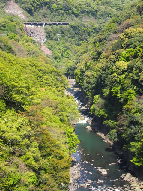 c0103830_19523029.jpg