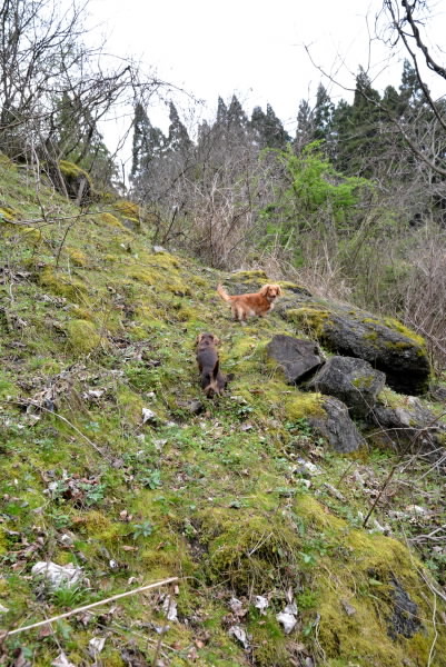 e0056537_11205507.jpg