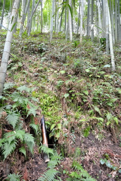 e0056537_11212660.jpg
