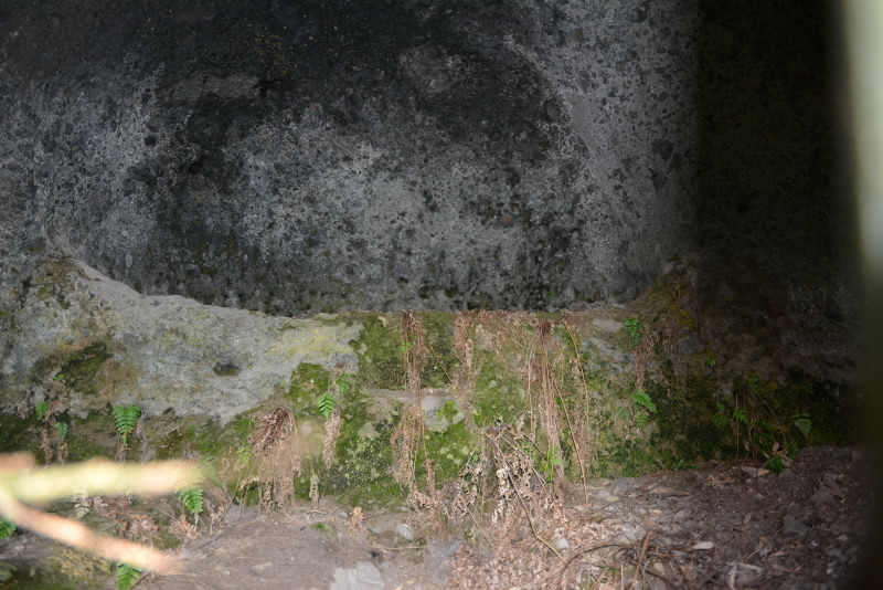 e0056537_11214362.jpg