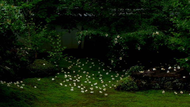 d0027244_09393399.jpg