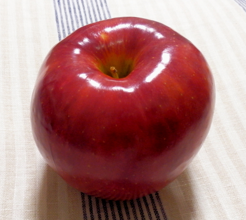 d0026745_22475703.jpg