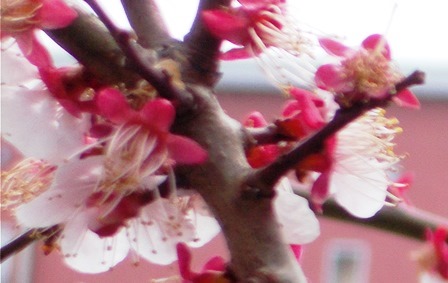 b0289649_1316765.jpg