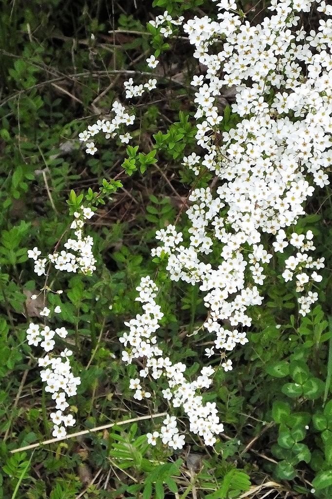 b0236251_14222947.jpg