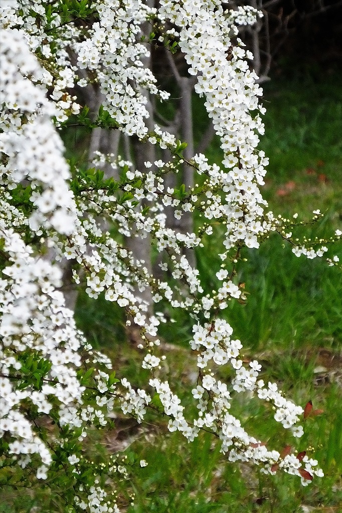 b0236251_14232576.jpg