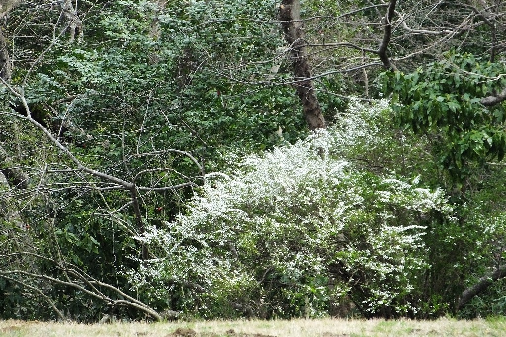 b0236251_14233331.jpg