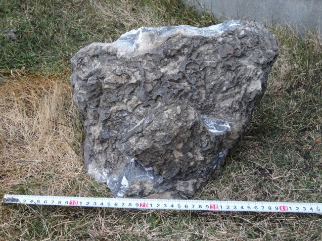 d0171959_22080803.jpg