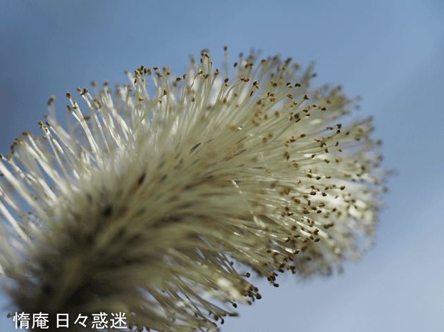 e0346064_18553386.gif