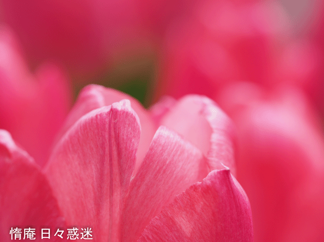 e0346064_19145125.gif