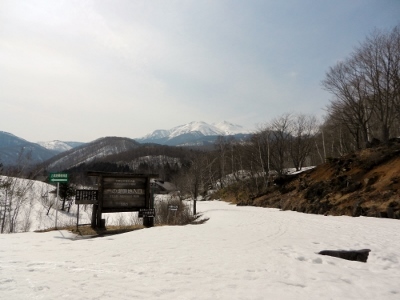 d0226767_11360408.jpg