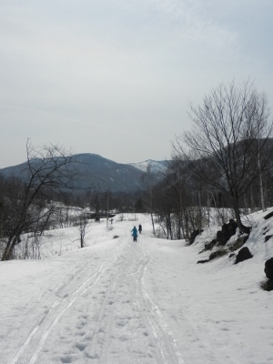 d0226767_11364026.jpg