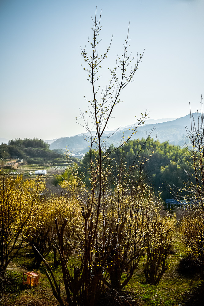 a0301676_07144127.jpg