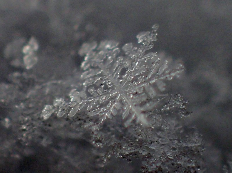 c0183777_9572640.jpg