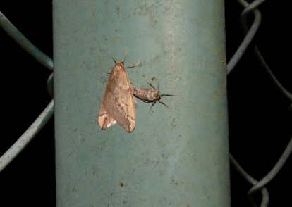 d0020180_9161651.jpg