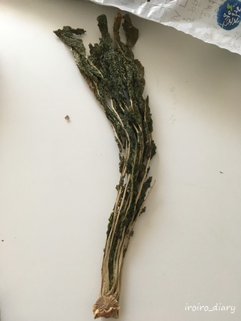 e0206490_21574975.jpg