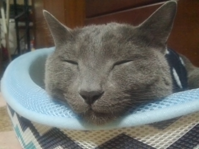 c0030291_18425839.jpg